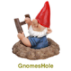 gnomeshole